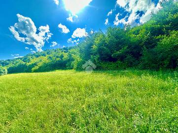 TER. AGRICOLO A VILLA LAGARINA