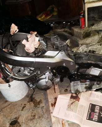 motore CBR-600F