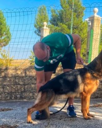 Pastore tedesco con Pedigree Enci