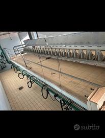 Sala mungitura ovini