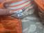 Immagine 4
