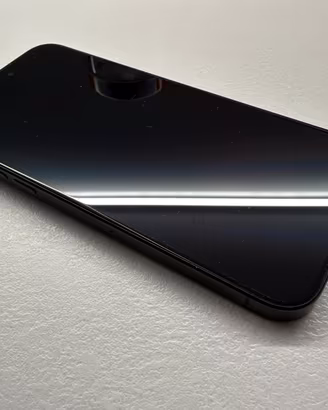 IPhone 15 Pro Max 256 GB
