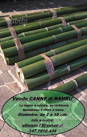 CANNE DI BAMBOO - Bambù - Giardino e Fai da te In vendita a Bergamo