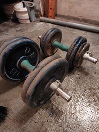 Coppia Manubri Ghisa 32 kg Totali