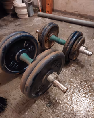 Coppia Manubri Ghisa 32 kg Totali