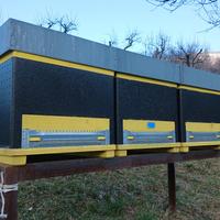 arnie coinventate come nuove