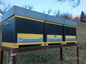 arnie coinventate come nuove