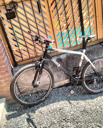 MTB  bici 