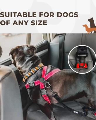 CINTURA DI SICUREZZA PER CANI CANE GUINZAGLIO