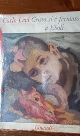 Cristo si è fermato a EBOLI