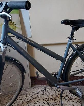 Bici Cresta ruota 26