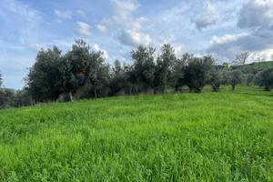 Terreno - Manoppello