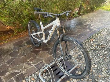 Canyon Spectral 5
