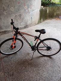Bicicletta Mountain Bike