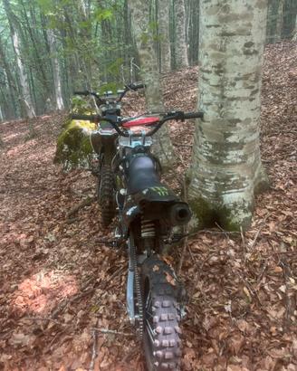 Pit bike 125
