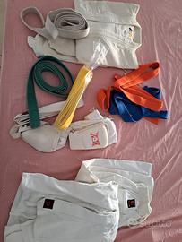 Completo Judo e Karate