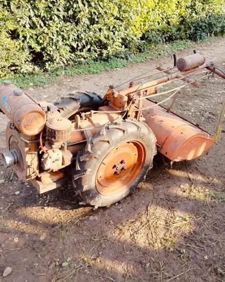 Motocoltivatore pasquali