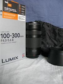 Panasonic Lumix G 100-300mm f/4-5.6 II OIS