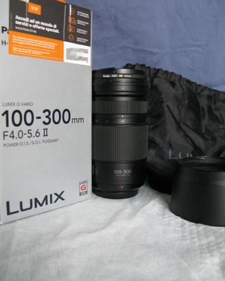 Panasonic Lumix G 100-300mm f/4-5.6 II OIS