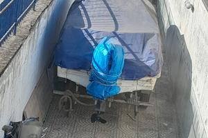 Barca motore carrello