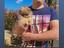 Immagine 1