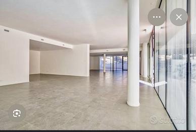 Locale commerciale grande