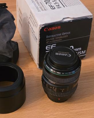 Canon EF 70-300mm f/4.5-5.6 DO IS USM