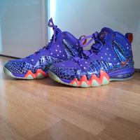 Nike air Barkley Posite Max phoenix Suns  41