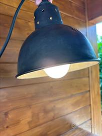 Due lampadari da soffitto