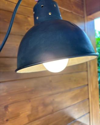 Due lampadari da soffitto
