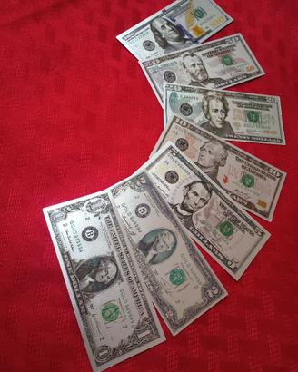 "U.S.A." 7 PZ BANCONOTE LAMINATE ARGENTO