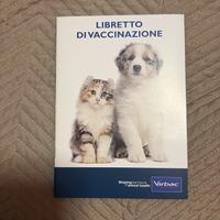 Cane maltese di razza