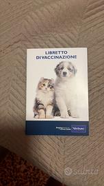 Cane maltese di razza