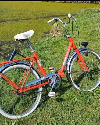 Bicicetta pieghevole Azzurra 24