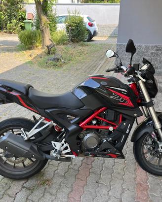 Benelli BN 251
