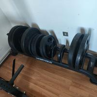 Portadischi Lacertosus Elite