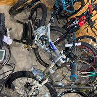 Downhill mongoose