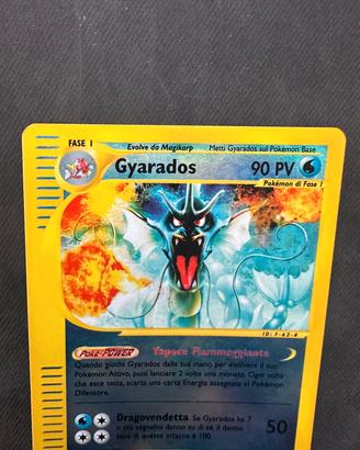 Gyarados Skyridge Pokemon 