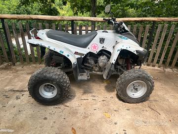 Quad ADLY 220cc targato