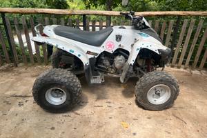 Quad ADLY 220cc targato