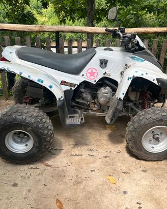 Quad ADLY 220cc targato
