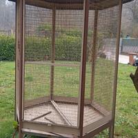 voliera per uccelli
