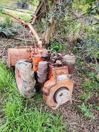 Motocoltivatore lombardini ben funzionante