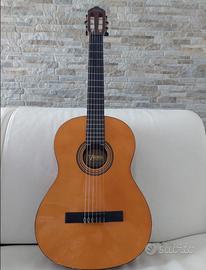 Chitarra acustica Valencia