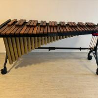 Marimba Adams Concert  MCHV43  in palissandro