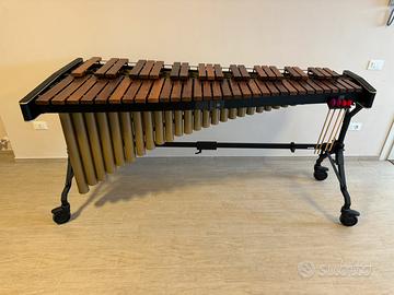 Marimba Adams Concert  MCHV43  in palissandro