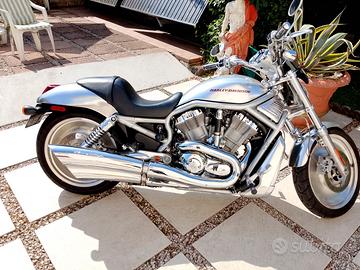 Harley Davidson v-rod.