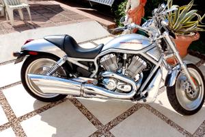 Harley Davidson v-rod.