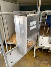 Mangiatoie per vitelli