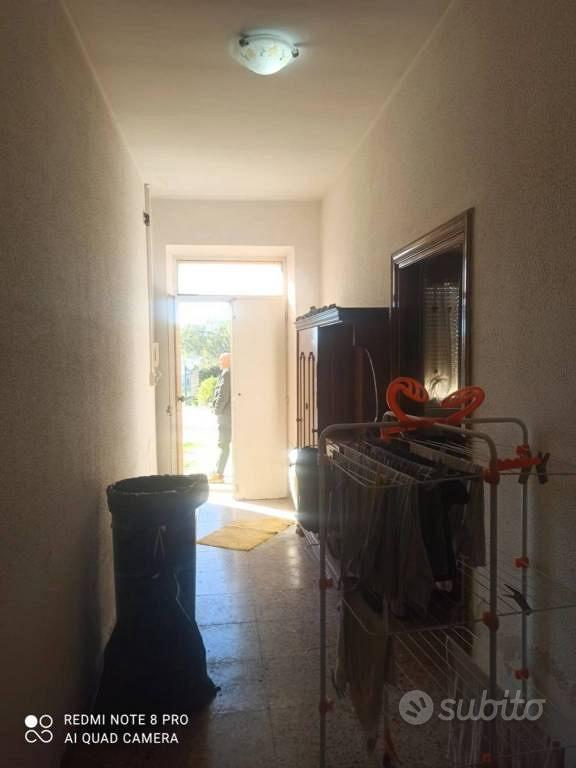 Appartamento – Morro d'Oro, Piano Cesare - Vista 5